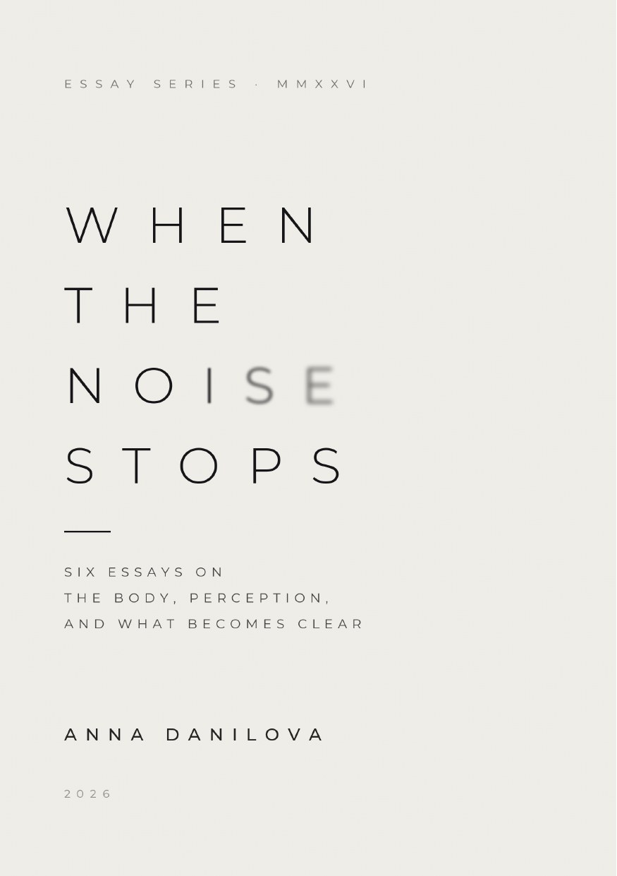 When the Noise Stops — book cover